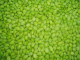Fresh Green Soy Bean  Pods